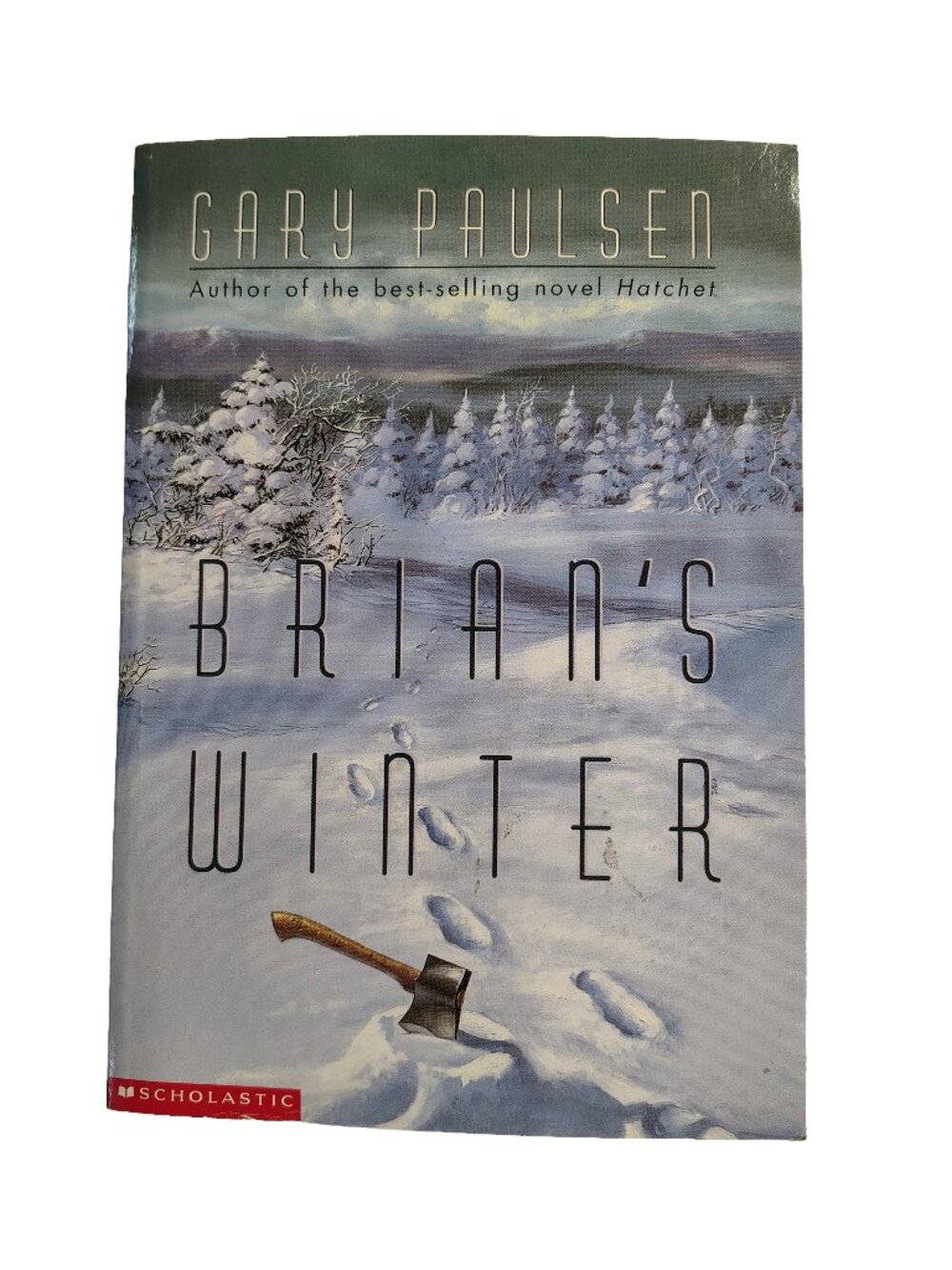 (1996) Vintage 90's Gary Paulsen's Brian's Winter Young Adults Survival Novel
